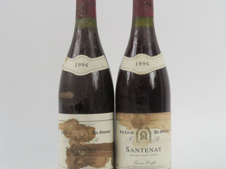 2 BOUTEILLES SANTENAY LES CAVES DU GOURMET - 1996 - 1 ET