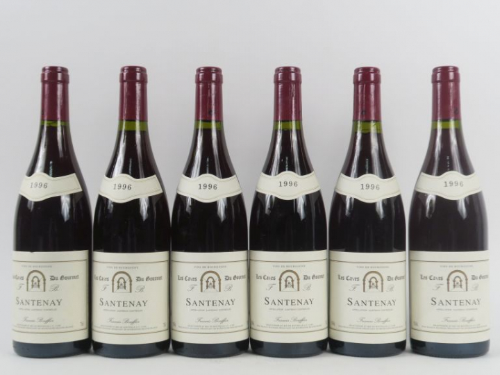 6 BOUTEILLES SANTENAY FRANCOIS BOUFFIER - 1995