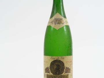 1 BOUTEILLE (1 L) POIRE WILLIAMS STE ODILE 43°