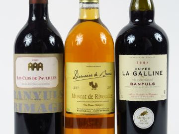 3 BOUTEILLES VDN : 1 MUSCAT DE RIVESALTES DOMAINNE DE BARRIA 2007 - 1 