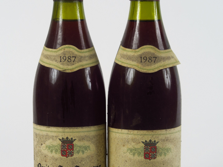 2 BOUTEILLES NUITS ST GEORGES FLEUROT - 1987