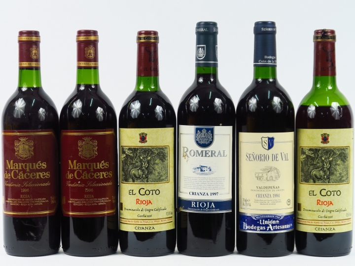 6 BOUTEILLES VINS ESPAGNOLS : 2 MARQUES DE CACERES 1996 - 1 ROMERAL 19