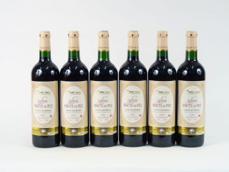 Vente aux enchères 6 BOUTEILLES CHÂTEAU LES HAUTS DE PEZ ST ESTEPHE - 2005 - CBO