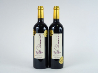 Vente aux enchères 2 BOUTEILLES CLEMENCE DU CHÂTEAU MALLEPRAT GRAVES - 2010