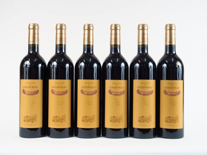 6 BOUTEILLES REIGNAC BORDEAUX SUPERIEUR - 2010