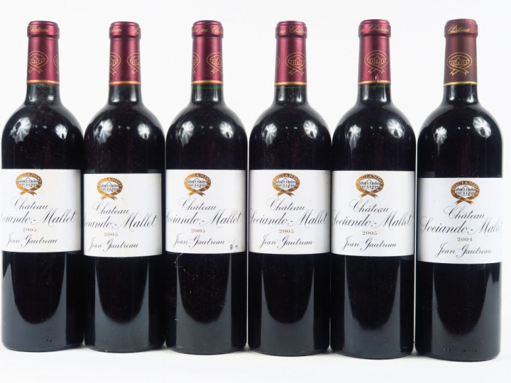6 BOUTEILLES CHÂTEAU SOCIANDO MALLET HAUT MEDOC - 5 de 2005/1 de 2004