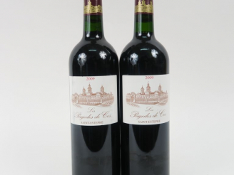 Vente aux enchères 2 BOUTEILLES LES PAGODES DE COS ST ESTEPHE -2009