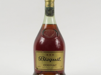 Vente aux enchères 1 MAGNUM COGNAC BISQUIT DUBOUCHE