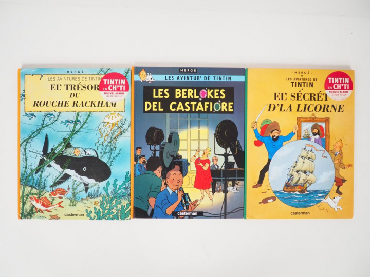 2 Albums en CHTI (Rackham et Secret licorne) + 1 album en Wallon (Cast