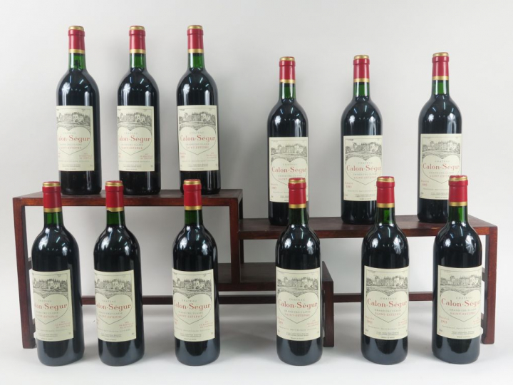 12 BOUTEILLES CHÂTEAU CALON SEGUR GCC ST ESTEPHE - 1993 - CBO - BG