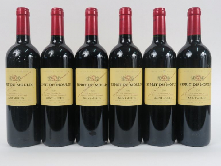 6 BOUTEILLES ESPRIT DU MOULIN DU CHÂTEAU LEOVILLE POYFERRE ST JULIEN -