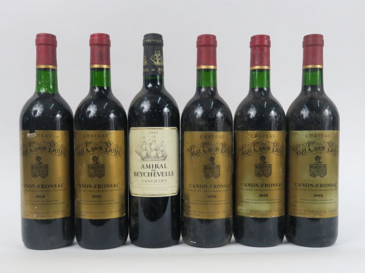 6 BOUTEILLES : 5 CHÂTEAU VRAY CANON BOYER CANON FRONSAC 1995 - 1 AMIRA