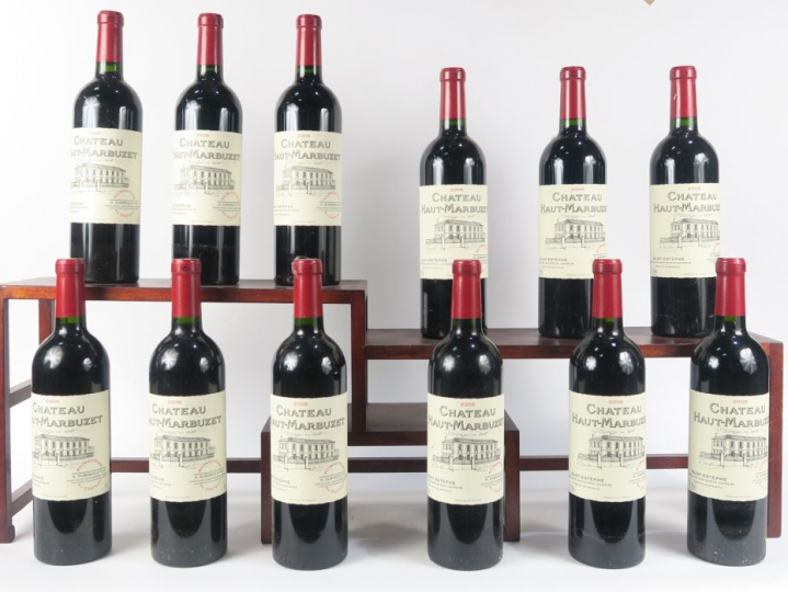 12 BOUTEILLES CHATEAU HAUT MARBUZET ST ESTEPHE - 2006 - CBO