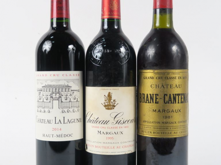 3 BOUTEILLES : 1 CHÂTEAU GISCOURS GCC MARGAUX 1995 - 1 CHÂTEAU BRANE C