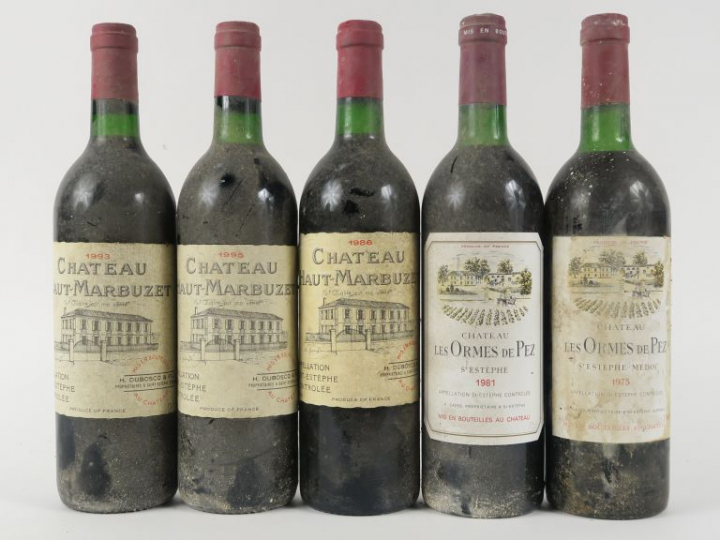5 BOUTEILLES ST ESTEPHE : 3 CHÂTEAU HAUT MARBUZET (1 de 1986 - 1 de 19