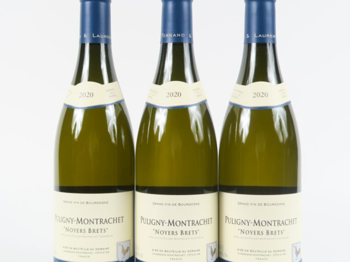 3 BOUTEILLES PULIGNY MONTRACHET 'NOYERS BRETS' DOMAINE FERNAND   LAURE