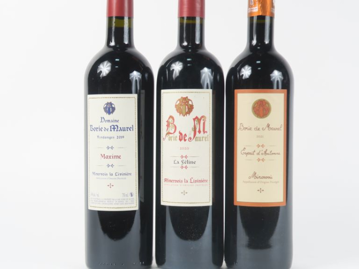 3 BOUTEILLES BORIE DE MAUREL MINERVOIS LA LIVINIÈRE : 1 'MAXIME' 2019 