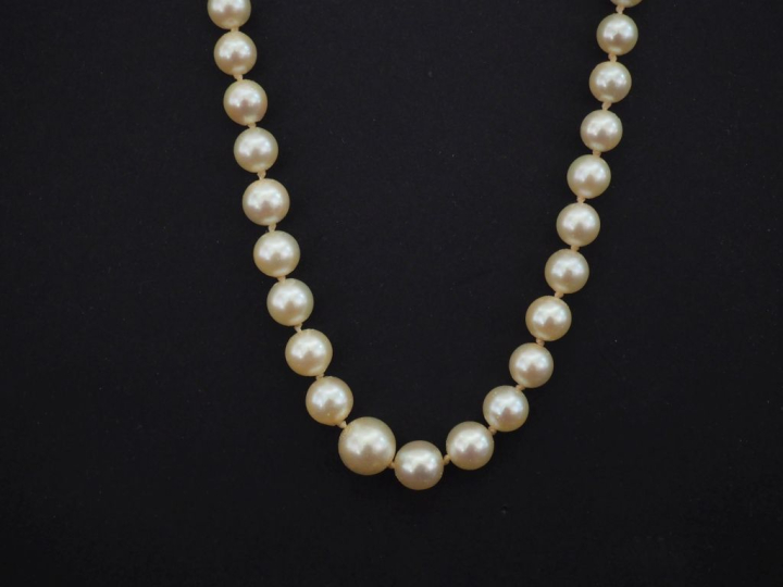 Collier de perles blanches disposées en chute. Fermoir en or blanc 750