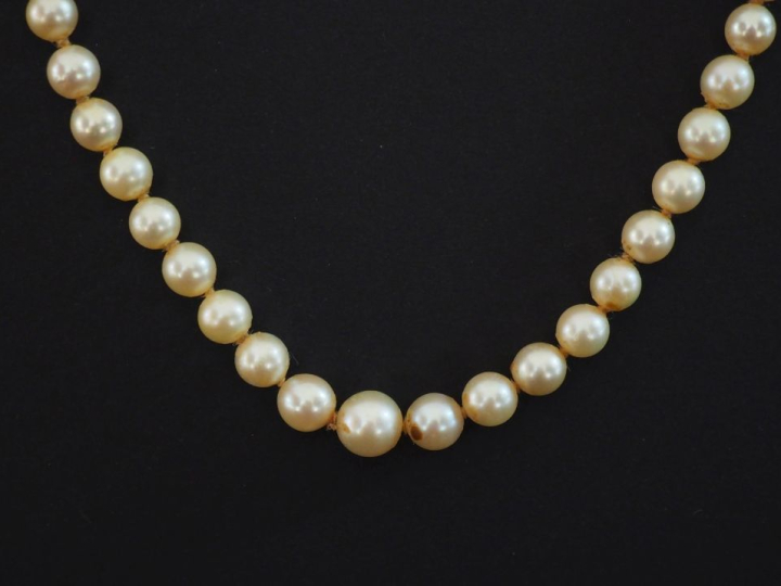 Collier de perles diposées en chute. Fermoir cannelé en or jaune 750. 