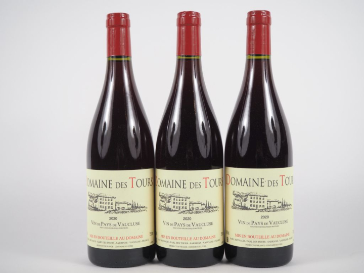 3 BOUTEILLES DOMAINE DES TOURS EMMANUEL REYNAUD - 2020