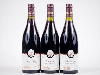 Vente aux enchères 3 BOUTEILLES SANTENAY MAURICE BIDOUILH DE VERNEUIL - 1999