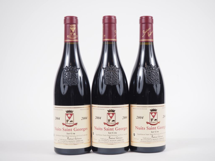 3 BOUTEILLES NUITS ST GEORGES 1er CRU BERTRAND AMBROISE - 2004