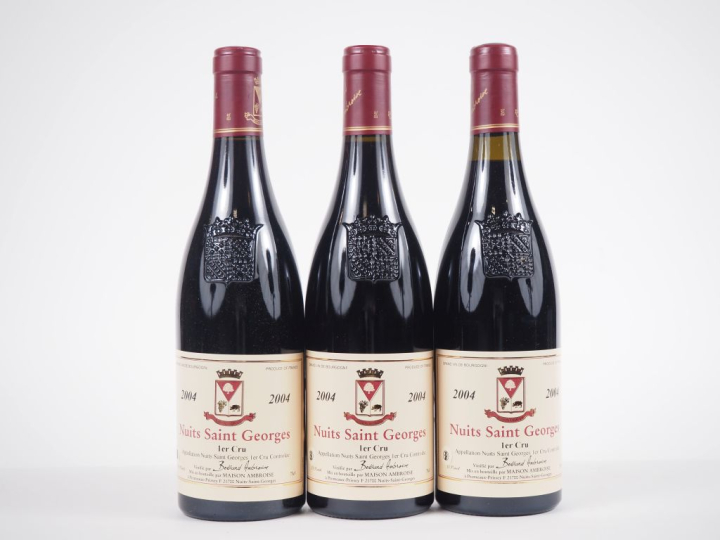 3 BOUTEILLES NUITS ST GEORGES 1er CRU BERTRAND AMBROISE - 2004