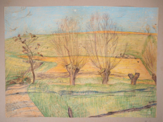 Vente aux enchères Mario CAVAGLIERI.  "Les Saules" Dessin, crayons de couleurs, signé en 