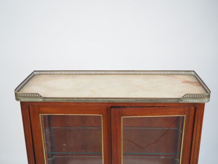 Vitrine basse de style Louis XVI en acajou et placage d'acajou, pieds 