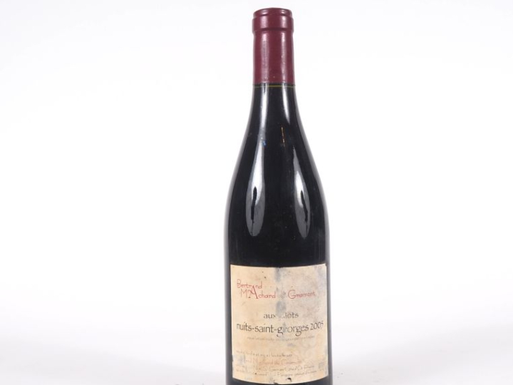 1 BOUTEILLE NUITS ST GEORGES "AUX ALLOTS" BERTRAND MACHARD DE GRAMONT 