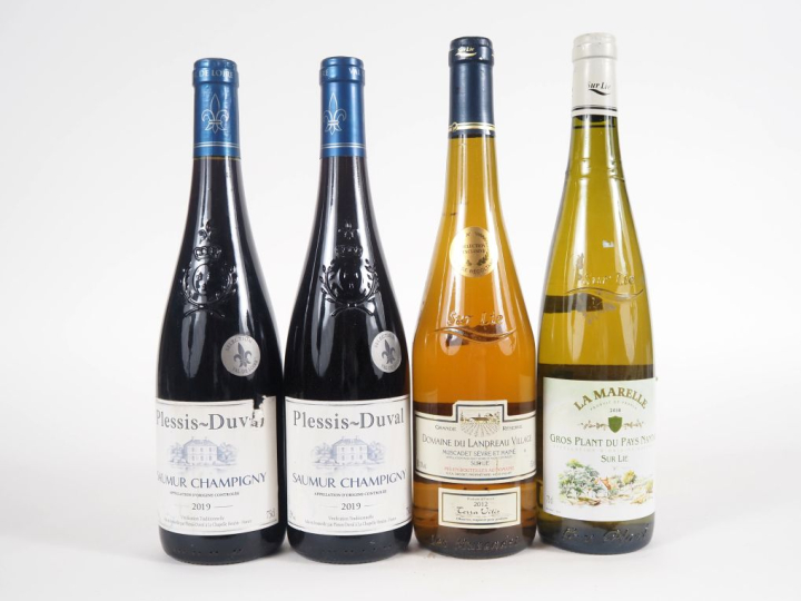 4 BOUTEILLES : 2 BOUTEILLES SAUMUR CHAMPIGNY PLESSIS DUVAL - 2019/1 BO