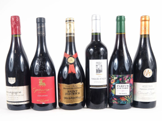 Vente aux enchères 6 BOUTEILLES : 1 BOUTEILLE LANGUEDOC "EXPRESSION" LES COSTIÈRES DE POM