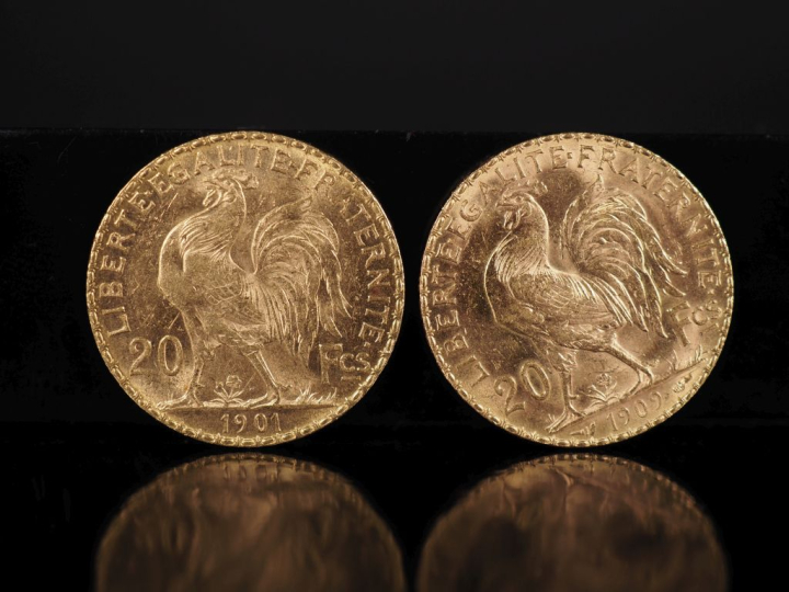 Deux pièces de 20 Francs or, 1901 et 1909.  FRAIS ACHETEURS 10% HT.   