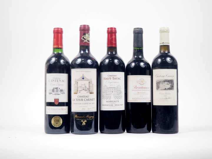 5 BOUTEILLES : 1 CHÂTEAU CANON CANON FRONSAC - 2005 - BON NIVEAU/1 CHÂ