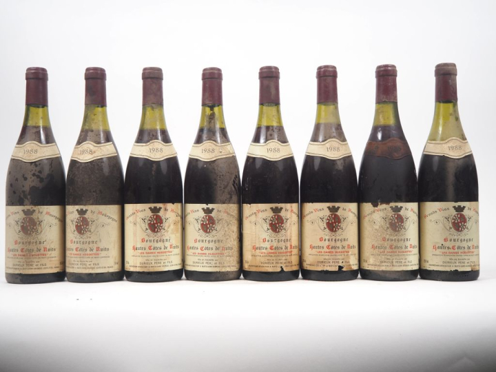 8 BOUTEILLES HAUTES CÔTES DE NUITS "LES DAMES HUGUETTES " DURIEU - 198