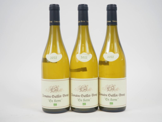 Vente aux enchères 3 BOUTEILLES MACON CHARDONNAY "EN SERRE"  DOMAINE GUILLOT BROUX - 2022