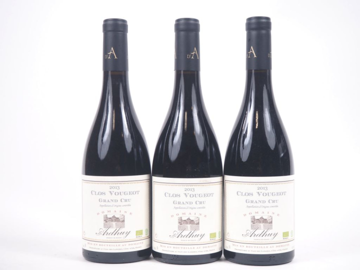 3 BOUTEILLES CLOS VOUGEOT GC DOMAINE ARDHUY - 2013 
