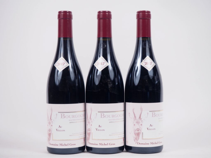 3 BOUTEILLES HAUTES CÔTES DE NUITS "AU VALLON" DOMAINE MICHEL GROS - 2