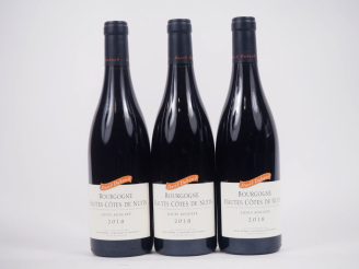 Vente aux enchères 3 BOUTEILLES HAUTES CÔTES DE NUITS "LOUIS AUGUSTE" DOMAINE DAVID DUBAN
