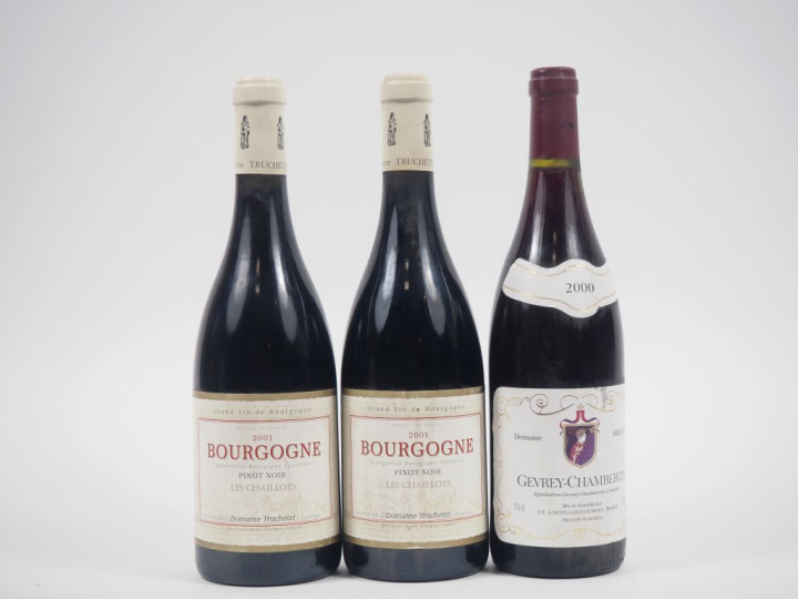 3 BOUTEILLES : 1 GEVREY CHAMBERTIN DOMAINE SIRUGUE 2000 / 2 BOURGOGNE 