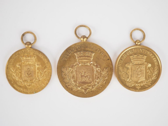 Vente aux enchères 3 différentes médailles en bronze doré, "ville de Limoux", "ville de M