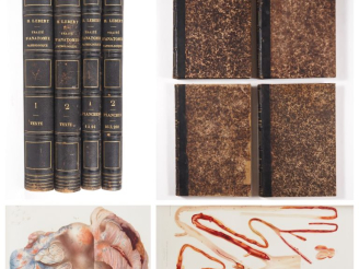 Vente aux enchères [MÉDECINE]. LEBERT (Hermann). TRAITÉ D’ANATOMIE PATHOLOGIQUE GÉNÉRALE 