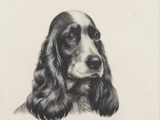 Vente aux enchères Léon DANCHIN.  "cocker" Lithographie