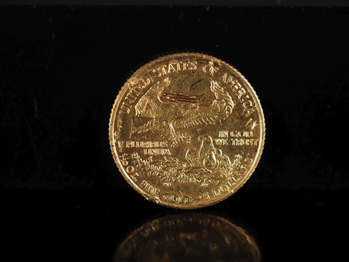 Pièce de 5 Dollars or.  FRAIS ACHETEURS 10% HT.