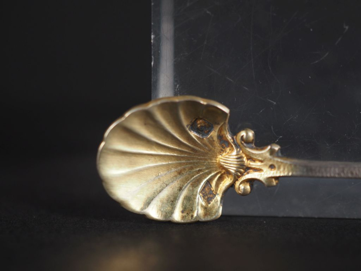 Paire de cuillères à sel de style Louis XV en argent et argent doré 92