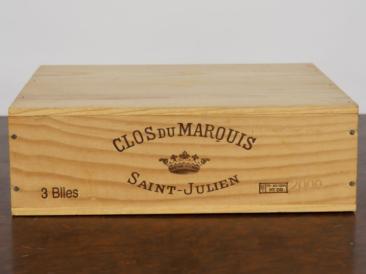 3 BOUTEILLES CLOS DU MARQUIS SAINT JULIEN - 2009 - CBO - #2