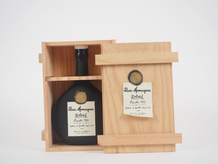 1 BOUTEILLE BAS ARMAGNAC DELORD - 1995 - CBO 