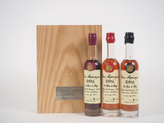 Vente aux enchères 3 BOUTEILLES (20cl) BAS ARMAGNAC DELORD : 10/20/30 ANS D'ÂGE - CBO