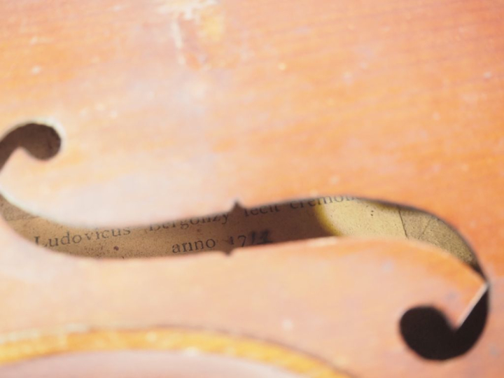 Violon fait en Allemagne portant l'etiquette "Bergonzy". Dim. 359 mm  