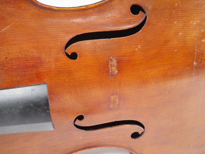 Très rare Violone Tyrolien arlequin, dos, tête et eclisse Tyrole fait 